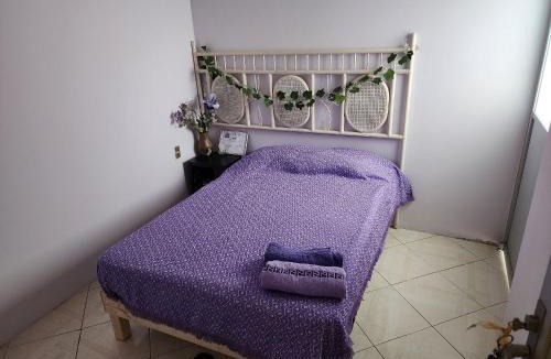 Tehuacan Apartment | Casa Libélula