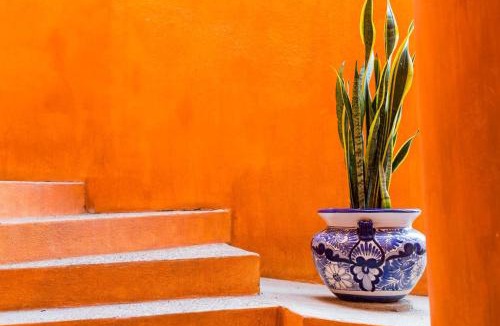 Benito Juarez Villa | Casa Lorenzo Orange Sunsets, Lush Landscape, Intown, Privacy