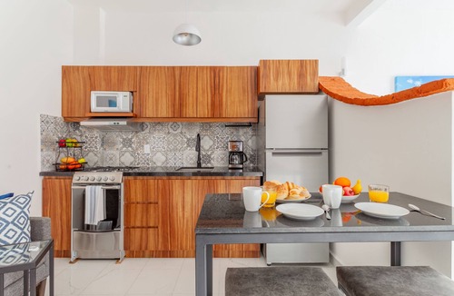 Colonia 5 de Diciembre Apartment | Casa Loro Azul PV Unit 3 NEW with Rooftop pool 1BD Studio for rent in 5 de Dicie