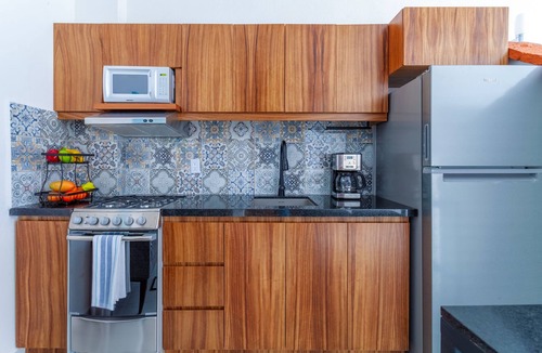Colonia 5 de Diciembre Apartment | Casa Loro Azul PV Unit 3 NEW with Rooftop pool 1BD Studio for rent in 5 de Dicie