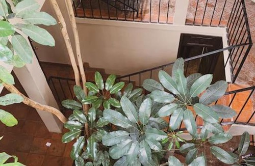Zona Centro House | Casa Luz