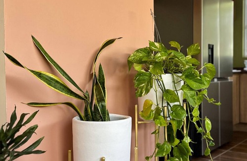 Fraccionamiento Revolucion Apartment | Casa Membrillo in Tlaquepaque near the Airport