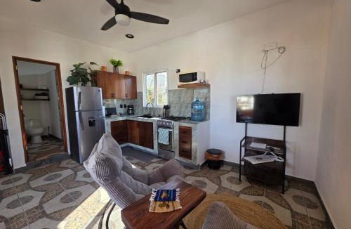 La Cruz de Huanacaxtle Apartment | Casa Nayita
