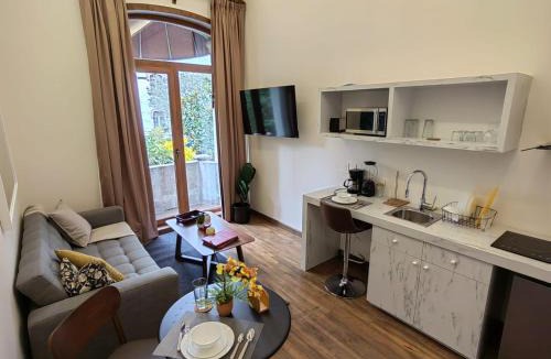 Zona Rosa Apartment | Casa Niza Suites