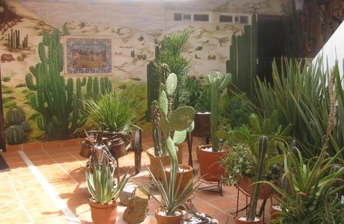 Zona Centro Bed & Breakfast | Casa Zuniga B&B