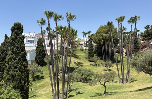 Oasis del Capistrano Apartment | Casablanca 31 - El Oasis de Capistrano!