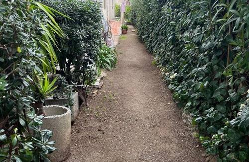 Livorno Apartment | Casetta dei fiori