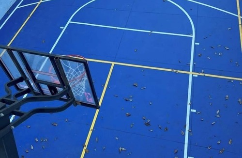 North End House | Charming casita. Private, secure with pickle ball and basketball half-court.