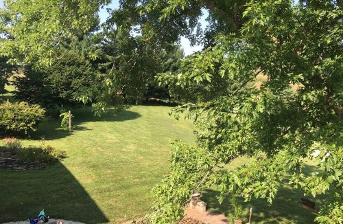 Union Apartment | Charming studio apartment 30 min from the Ark Encounter