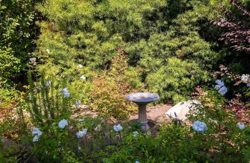 Upper East Cottage | Cheerful 2 bedroom 2 bath Cottage with fireplace