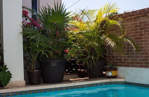 La Gloria House | Comfortable 4 bedroom home in local area with pool! Sleeps 8 people!