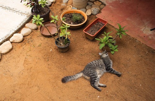 Puerto Escondido House | Comfortable rooms in a beautiful home-like space