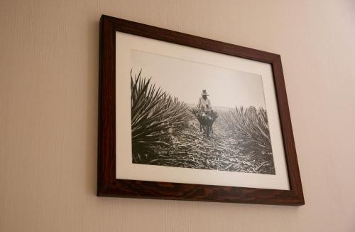 Tequila House | Comoda Casa Privada