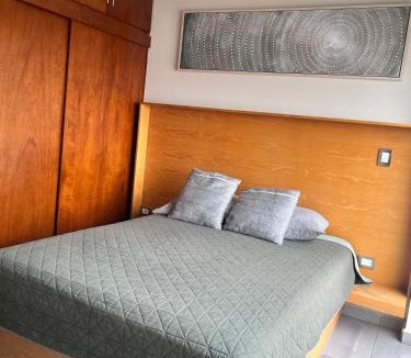 Zona Dorada Apartment | Condesa Mazatlán