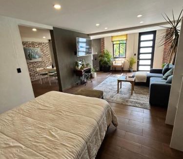 Metepec Apartment | Condesa Metepec loft y jardín