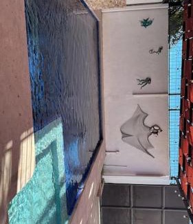 Bahia Kino House | ConVal beach house
