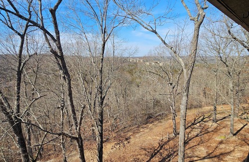 Notch Estates Condo | Cozy, Clean & Comfortable Condo, less than 2 miles to Silver Dollar City
