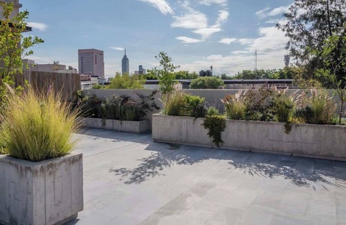 Cuauhtemoc Apartment | Cozy Contemporary Loft near Centro Histórico