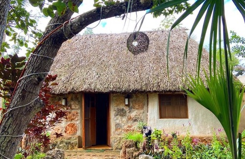Tzucacab Cabin | Cozy hut (Casa Maya) in the middle of nature