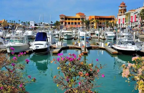 Ampliacion Juarez Condo | Cozy Rooftop Condo with Pool and Garden View in Cabo san Lucas