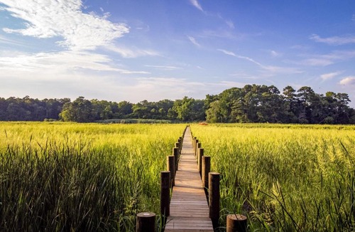 Allen House | Creekside Nature Retreat on the Eastern Shore