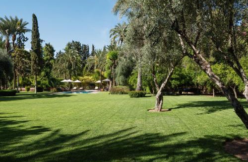 Palmeraie House | Dar Zemora