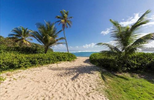 Cerro Gordo Villa | Daria Beachfront community steps 2 pool- Generator