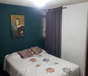 Yauhquemehcan Apartment | Departamento Jardín Magnolia