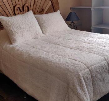 Mineral de Pozos Apartment | Departamento NUEVO