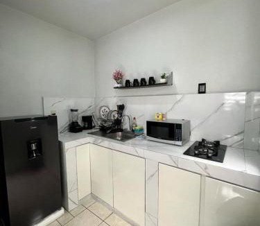 Guadalajara Municipality Apartment | Departamento por plaza terraza oblatos
