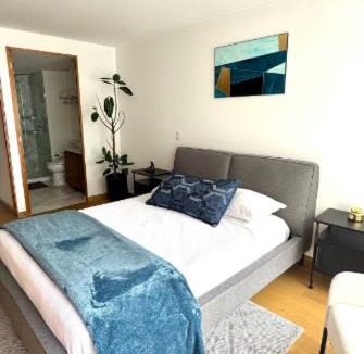 Hipodromo Apartment | depto con alberca zona condesa