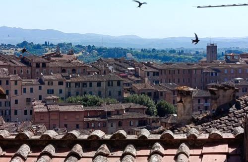 Siena Historical Center Apartment | Duomo & Pinacoteca Suite