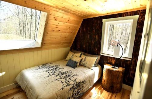 Springvale House | Eco-Friendly Solar Powered A-Frame Treehouse with Hot Tub and Private Dock on Littlefield Pond, near Wells, Maine