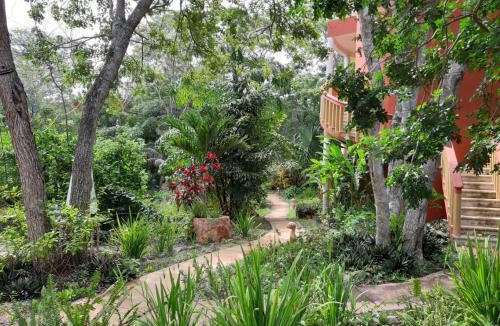 Santa Elena Cabin | Eco-Hotel Nueva Altia