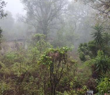Tepoztlan Other | Eco Rooms Pablo's