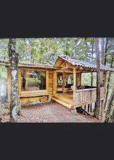 Acaxochitlan Apartment | ecoturístico montaña viviente , CABAÑA CHALCHOAPAN