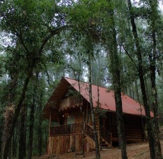 Acaxochitlan Apartment | ecoturístico montaña viviente , CABAÑA CHALCHOAPAN