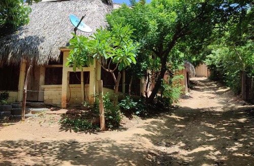 Mazunte House | El Hostel de Ivanna