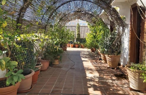 Jewish Quarter Apartment | El Jardín de Wallada
