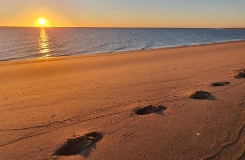 San Felipe Other | El Sanctuario Baja Glamping