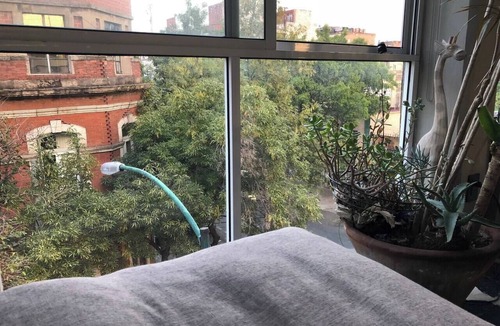 Zona Rosa Apartment | Enchanted Heaven Plant-Filled Penthouse with 5 BR