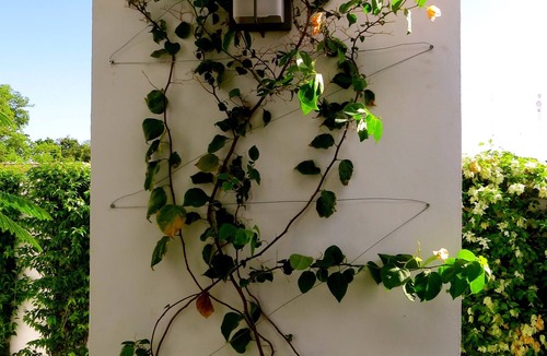 Centro Apartment | Enchanting 3 Room Duplex Casita With Roof Garden Deck In Centro Merida