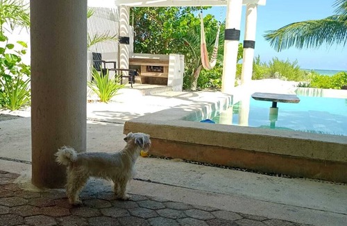 Chicxulub Puerto House | Entire House on the Seashore in Chicxulub Puerto, Yuc, Riviera Yucateca Mex