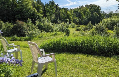Stone Mills Cabin | Escape the Grid: Solar-Powered Cabin Retreat Under the Stars