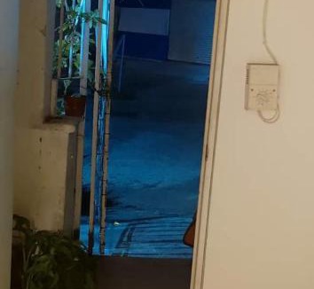Merida House | Espacio Jardines
