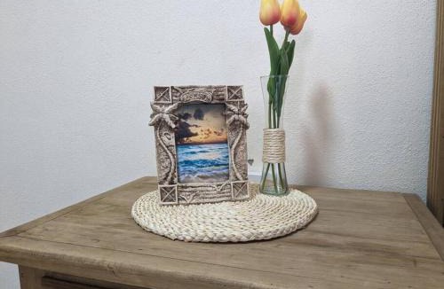 San Jose del Cabo Apartment | Estudio Balandra cerca del aeropuerto SJD