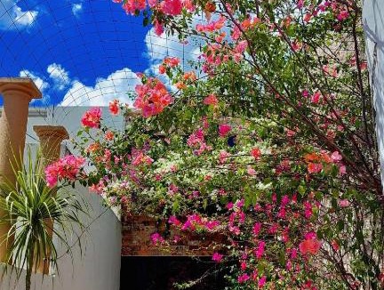 Centro House | Eva and Ivan