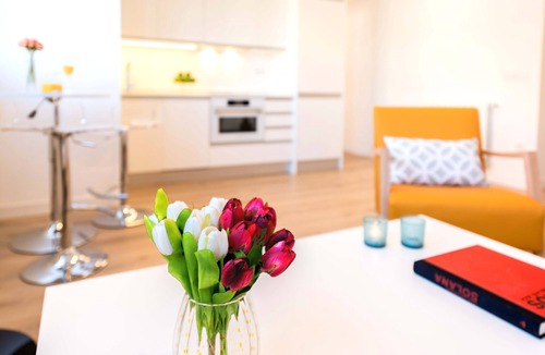 El Viso Apartment | Exclusive and Smart Apartment to enjoy Madrid