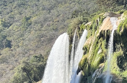 La Huasteca House | Experience Real Mexico at “El Logrado Huastecas”