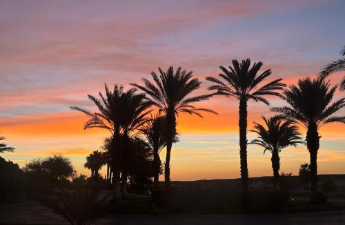 Los Cabos Apartment | Exquisite 3BR Condo Ocean Views Access Resorts